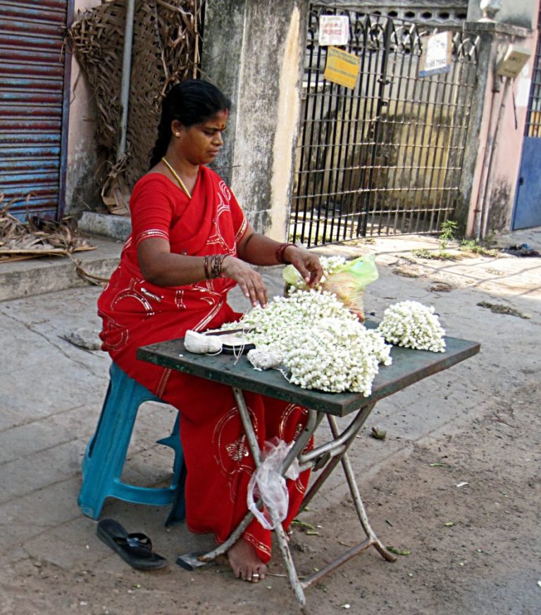 Chennai, Flower, Gajra