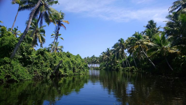 Kerala with family