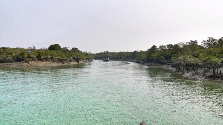 Sunderbans National Park